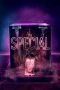 The Special (2020) The Special (2020)