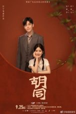 Nonton Drama China Hu Tong (2022) Sub Indo